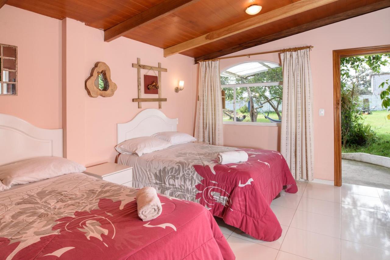 شقة Casa Elalu كويتو المظهر الخارجي الصورة