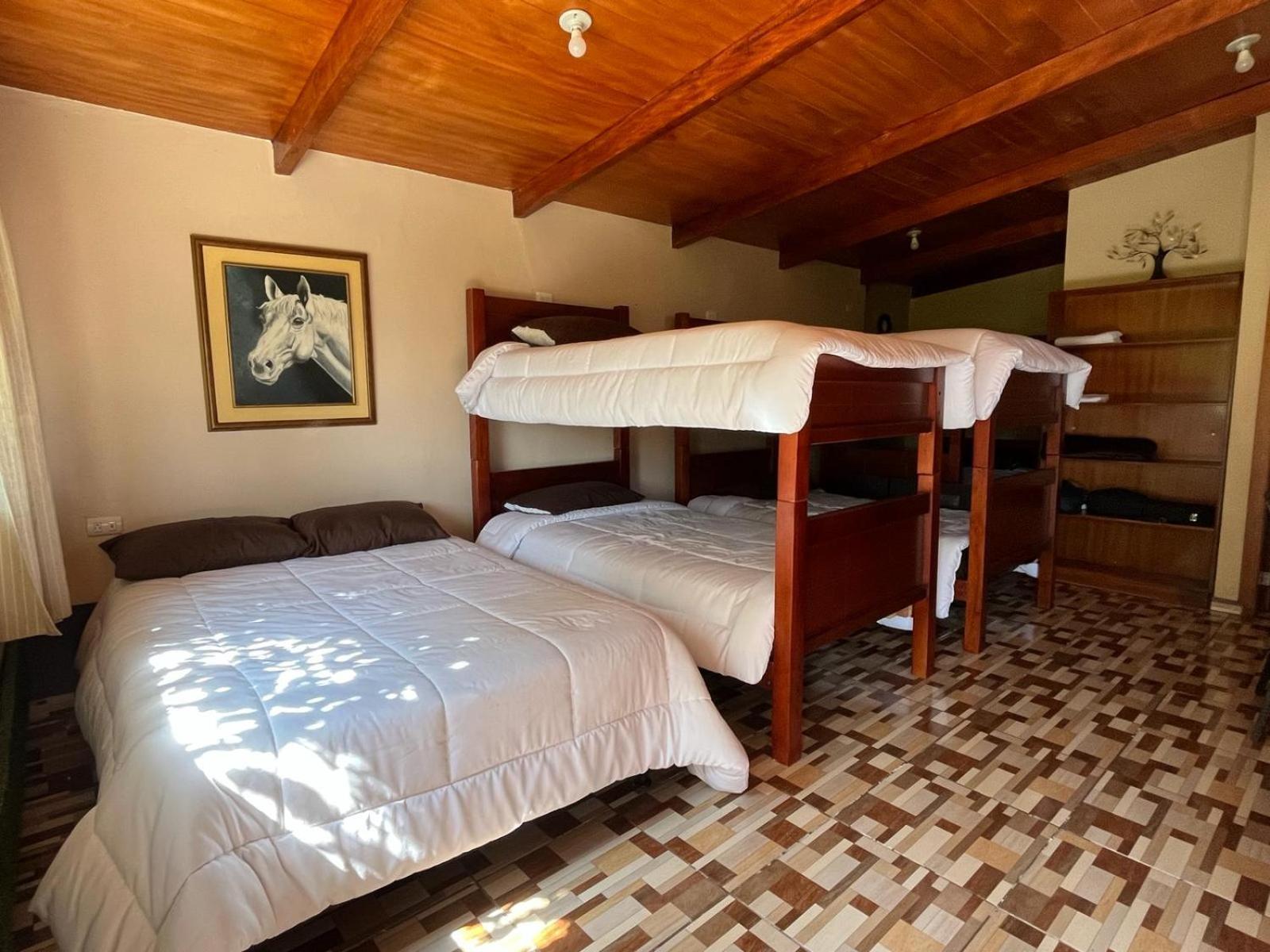 شقة Casa Elalu كويتو المظهر الخارجي الصورة